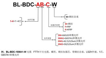 产品│室外自承式蝶形皮线光缆介绍