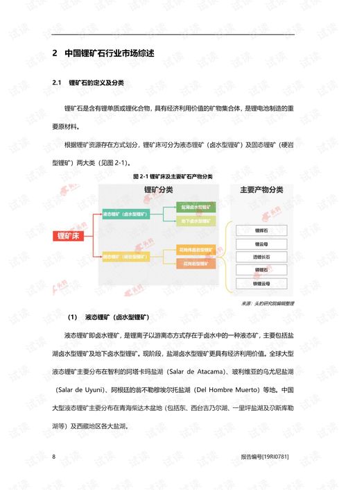 2019年中国锂矿石行业研究概览精品报告2020.pdf