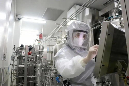 9月5日河北无新增确诊病例 国产新冠疫苗实物惊艳登场 世卫组织决定...