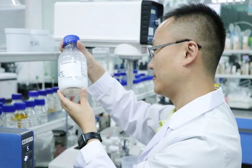 一代 外企精英 正在重新做选择